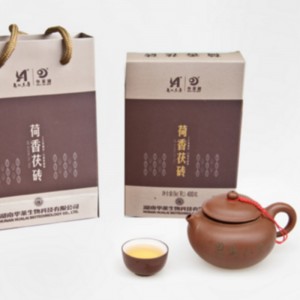 Anhua îngrijirea sănătății anhua ceai negru